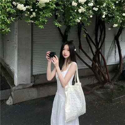 南方的野兽